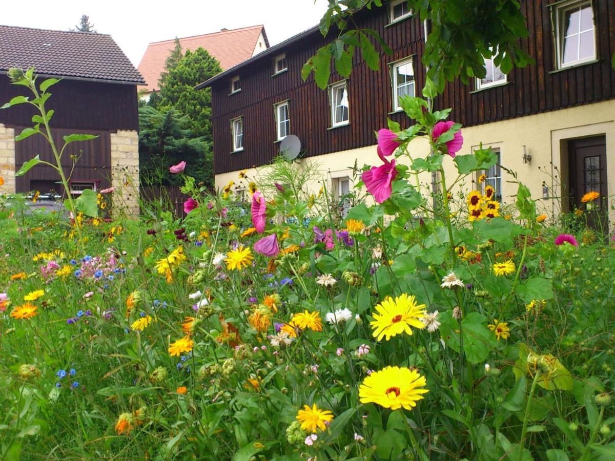 Comfy Apartment In Weissig With Garden Cameră foto